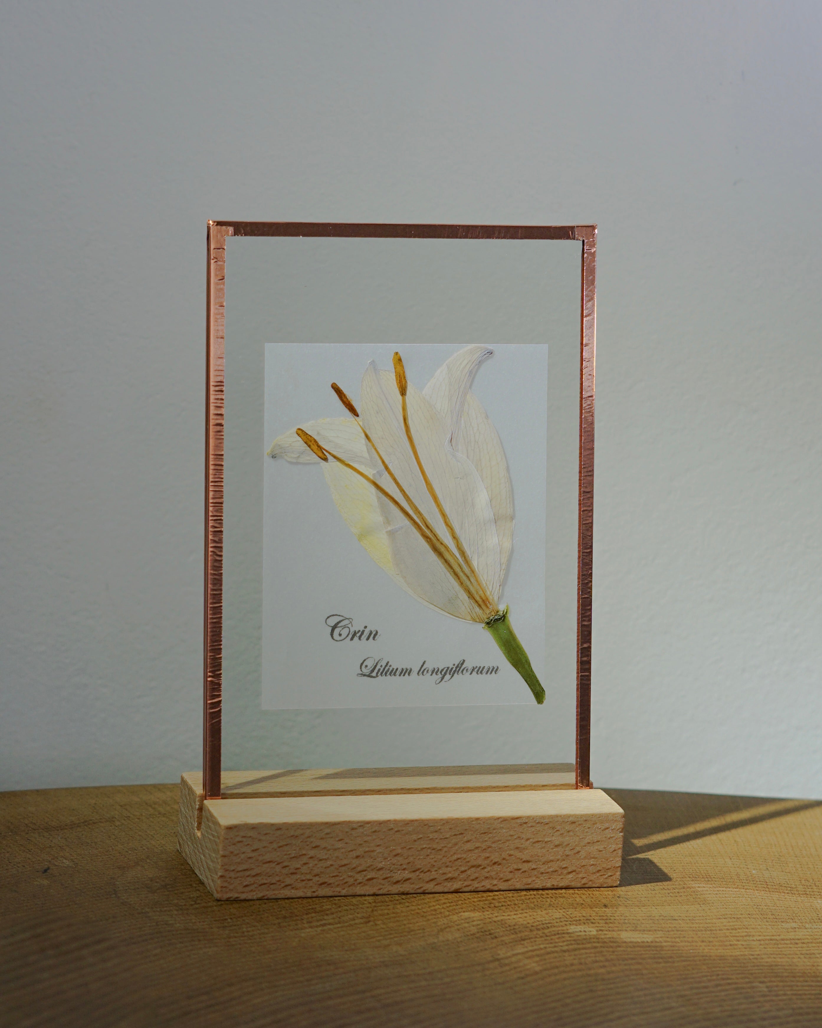 Nume de flori