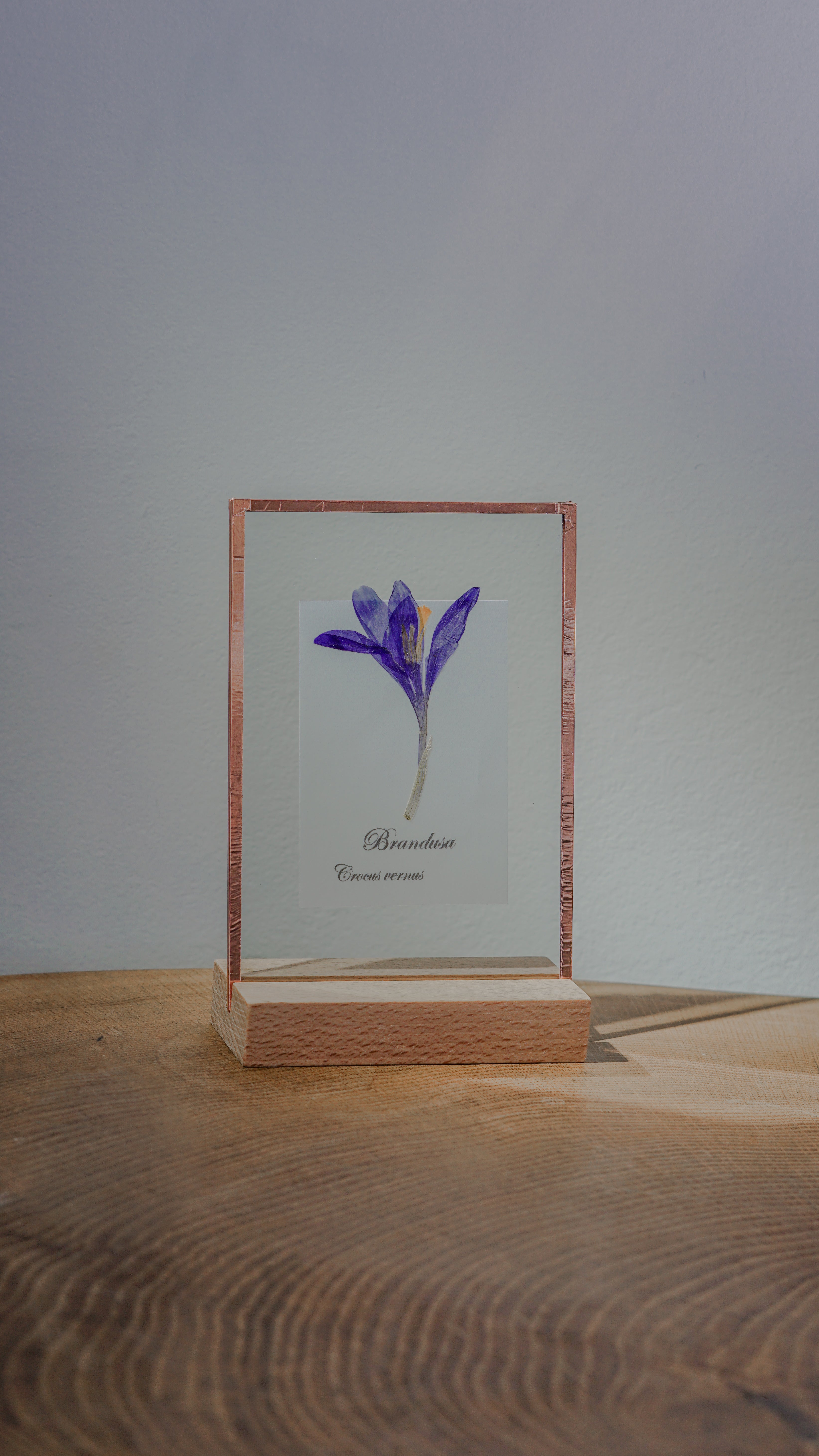 Nume de flori