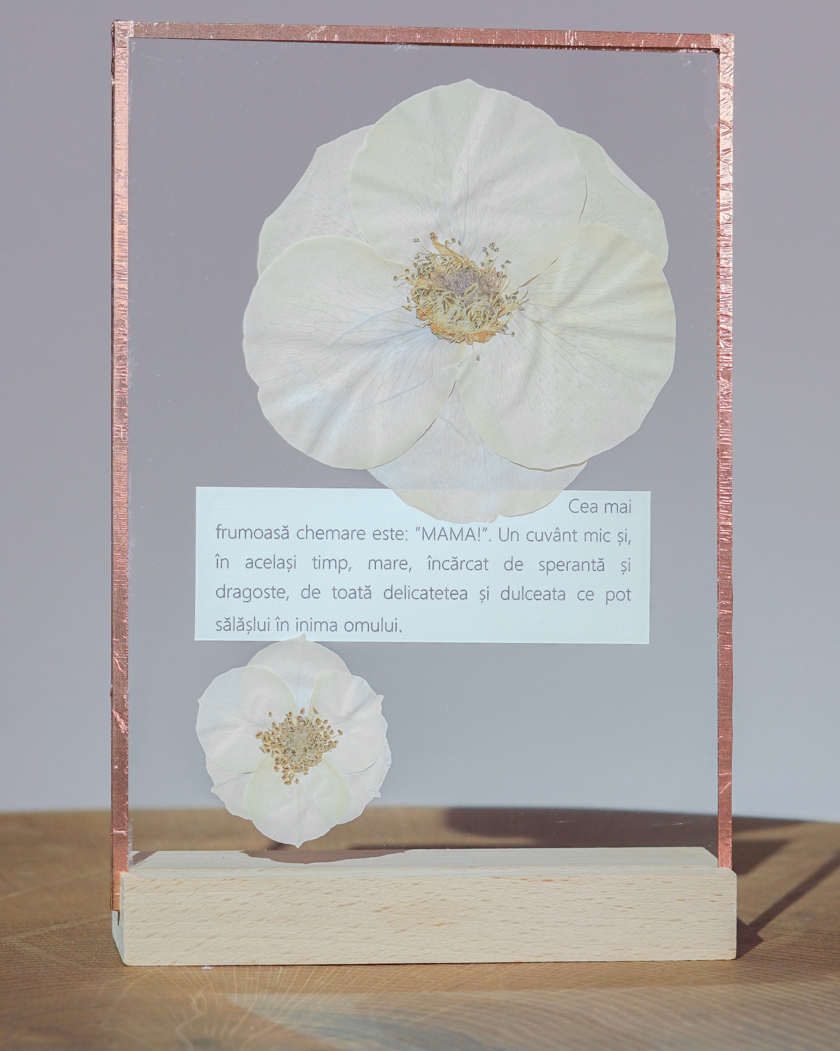 Cea mai frumoasa chemare