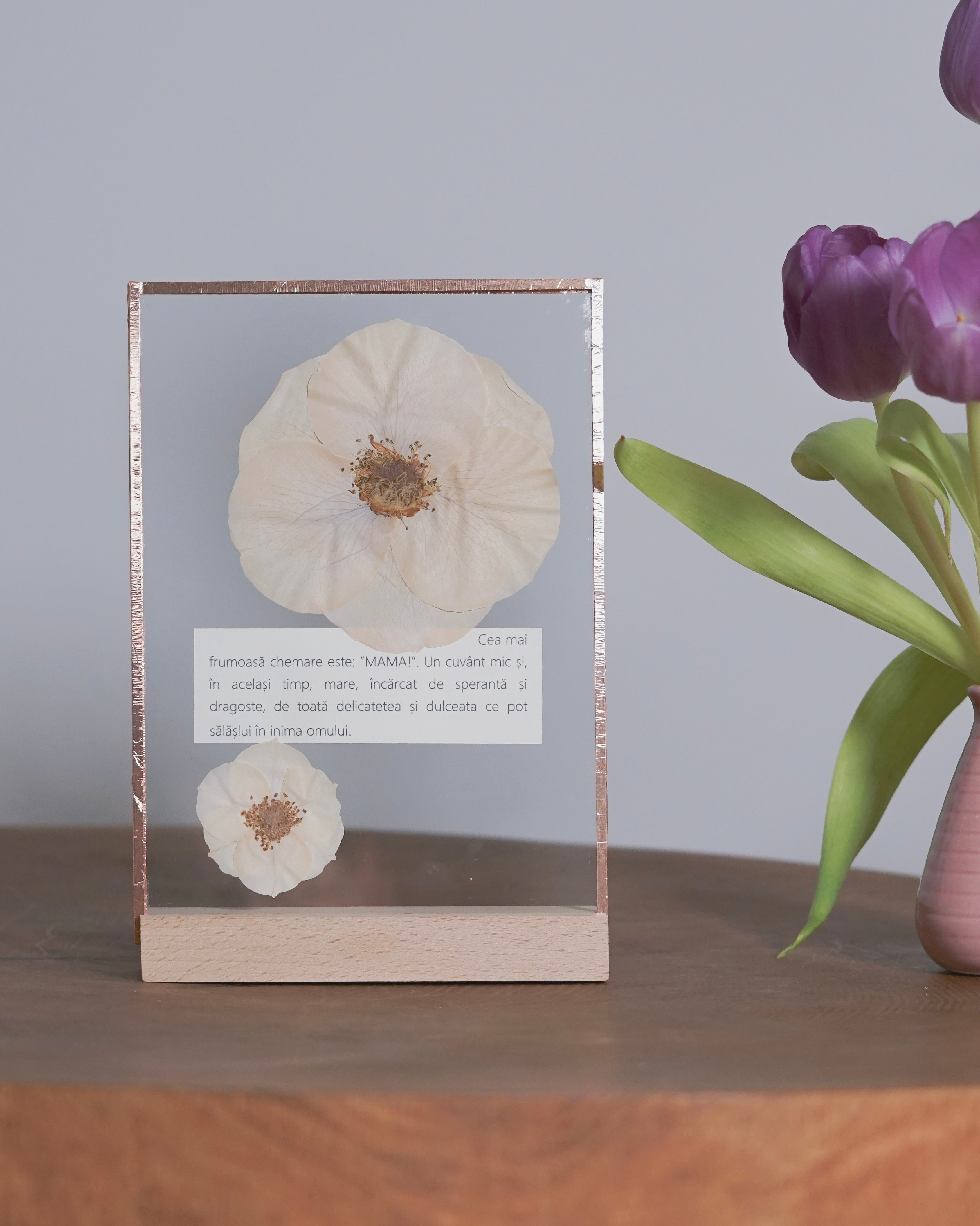 Cea mai frumoasa chemare